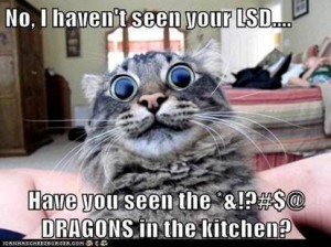 LSD and Cats