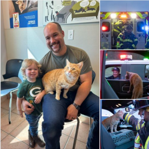 Cat Tries to Help Firefighters, Gets Adopted